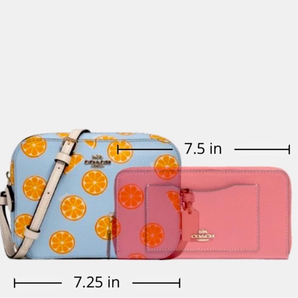 Limited Edition Coach Mini Camera Bag Crossbody With Orange Print - Picture 14 of 15